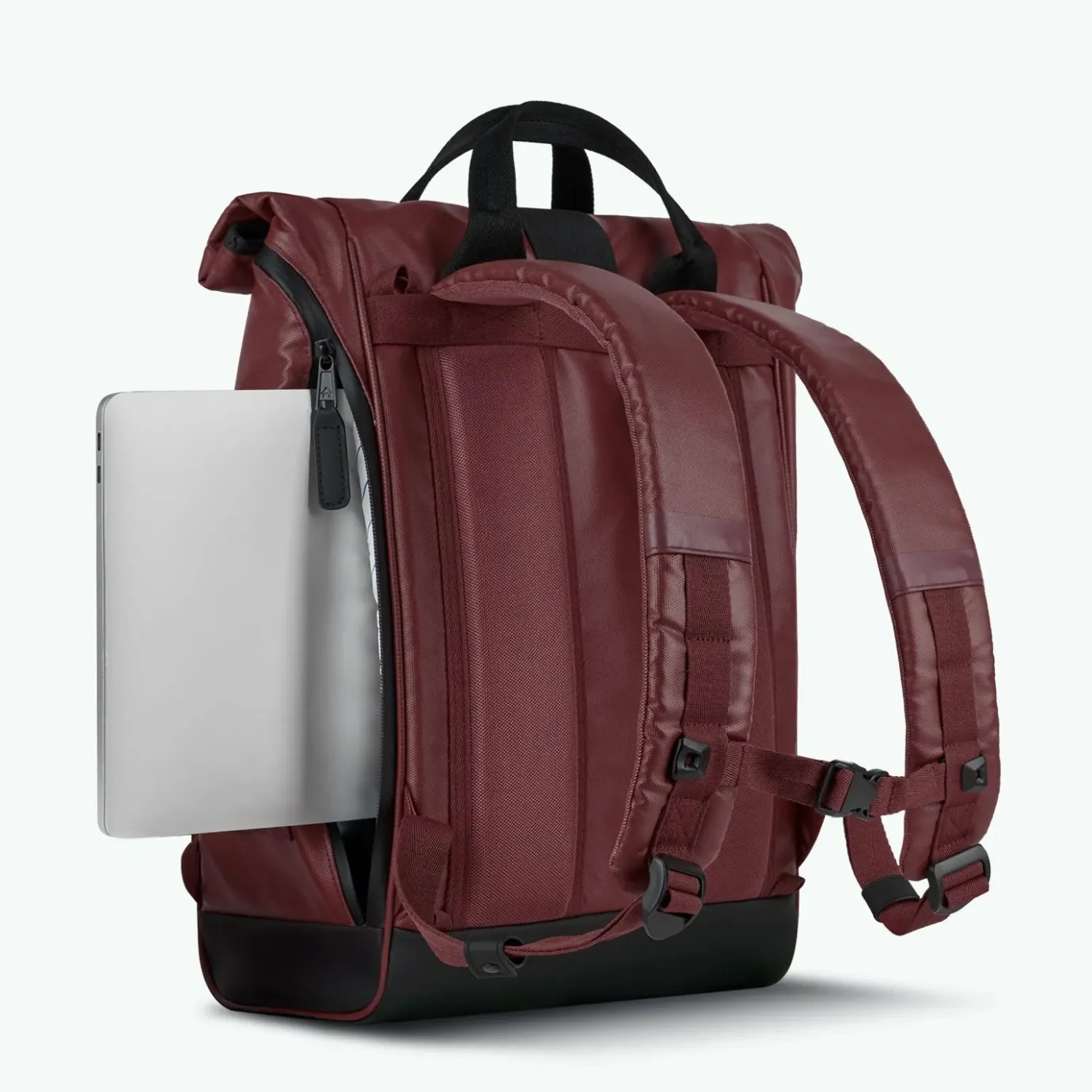 Explorer | Cabaïa Explorer Burgundy