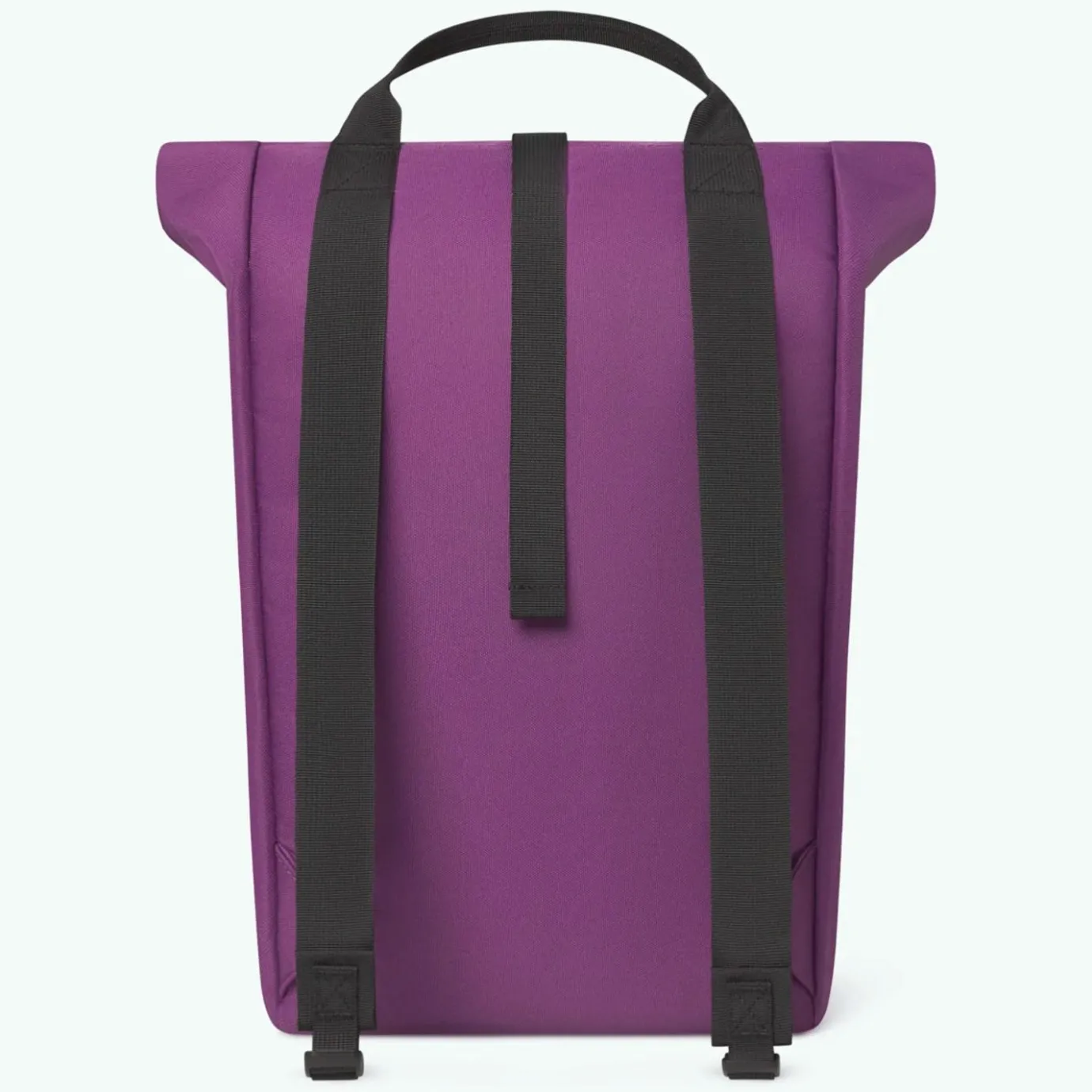 Starter | Cabaïa Starter Purple